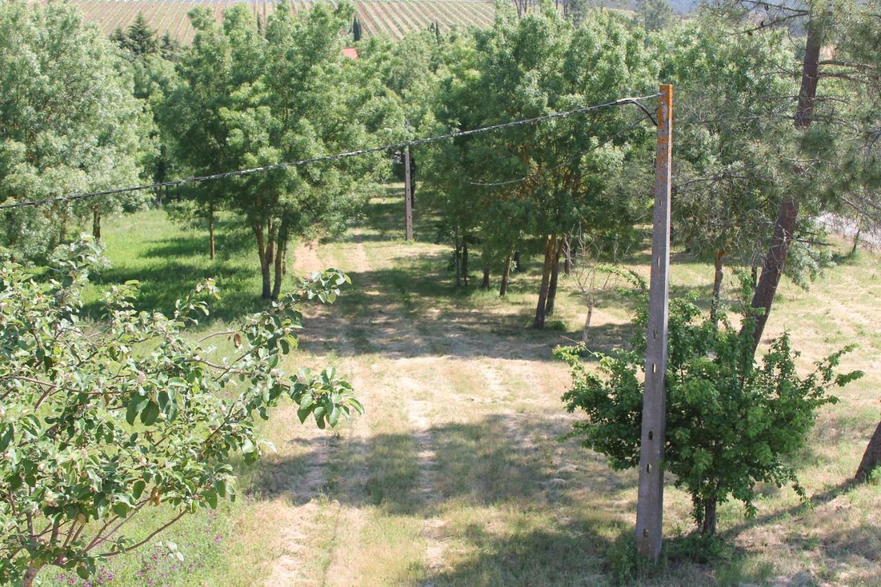 Herdade Dos Templarios Tomar Dış mekan fotoğraf